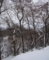 20121226061957