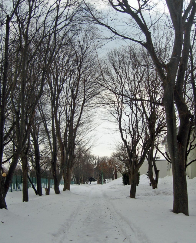 f:id:atarou:20130101062933j:image