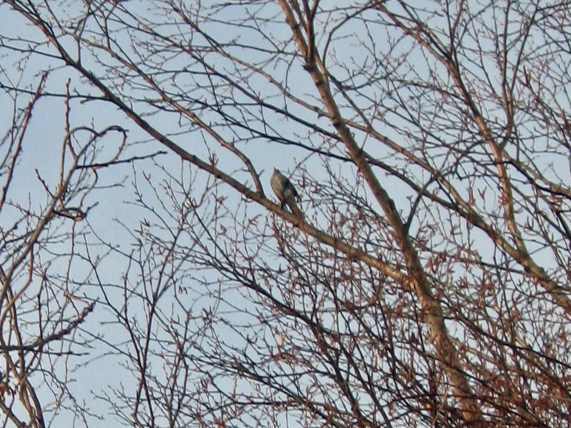 f:id:atarou:20130102062723j:image