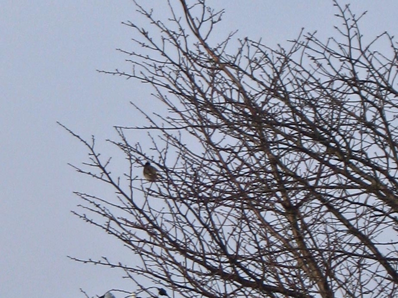 f:id:atarou:20130102062724j:image