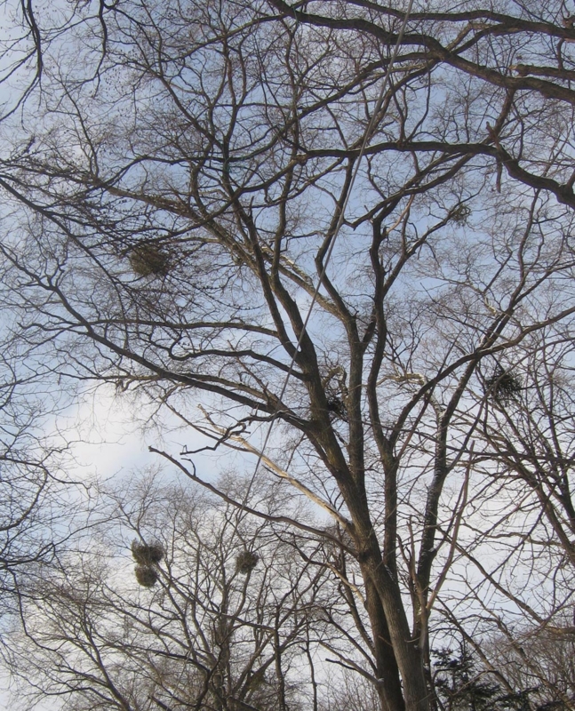 f:id:atarou:20130102063522j:image