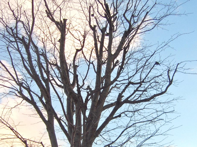 f:id:atarou:20130102070003j:image