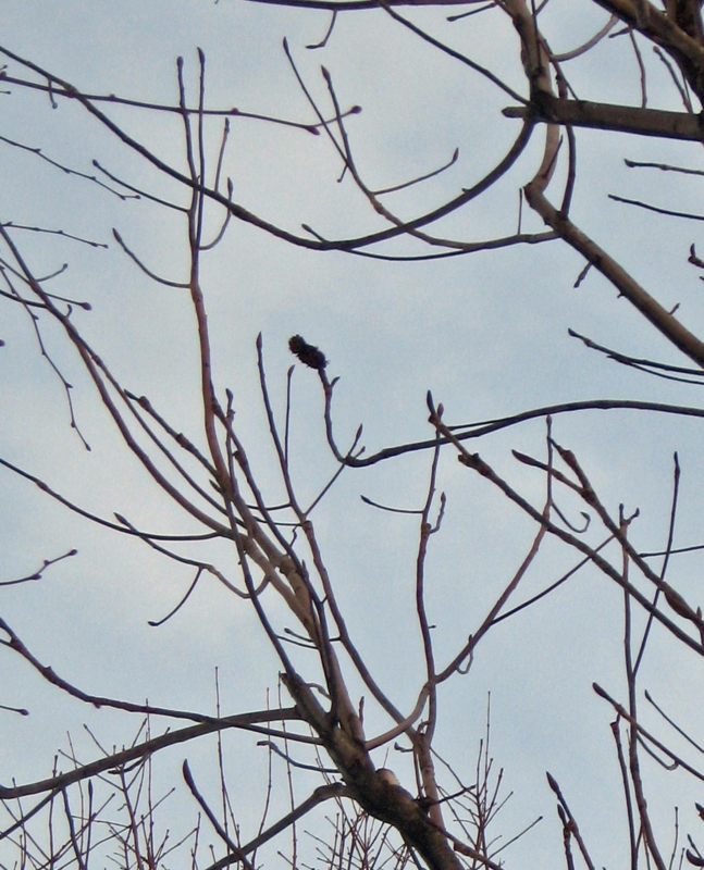 f:id:atarou:20130103062047j:image