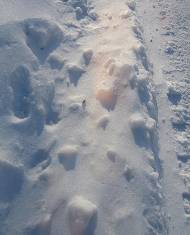 f:id:atarou:20130104062503j:image f:id:atarou:20130104062503j:image