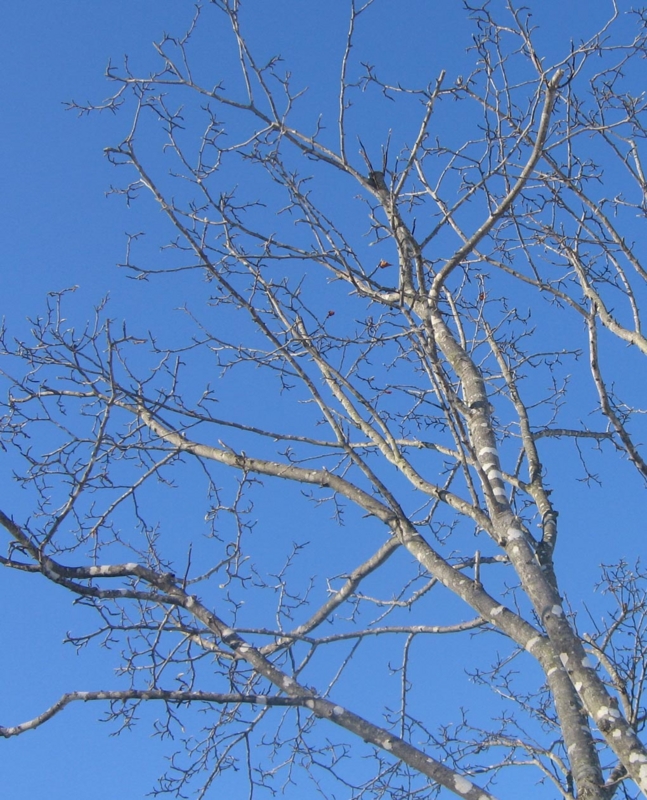 f:id:atarou:20130104062954j:image f:id:atarou:20130104062954j:image