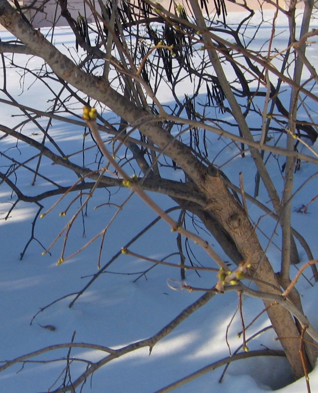 f:id:atarou:20130104063815j:image f:id:atarou:20130104063815j:image