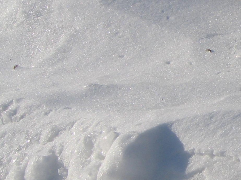 f:id:atarou:20130104065047j:image f:id:atarou:20130104065047j:image