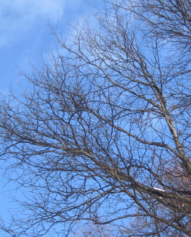 f:id:atarou:20130106085530j:image