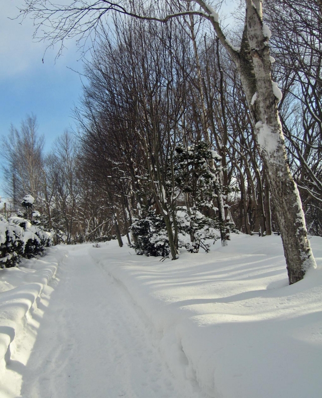 f:id:atarou:20130107072342j:image f:id:atarou:20130107072342j:image