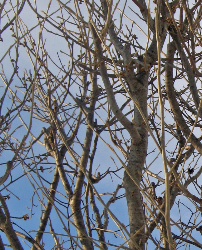 f:id:atarou:20130107084713j:image f:id:atarou:20130107084713j:image