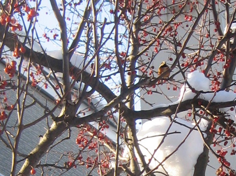 f:id:atarou:20130108072517j:image