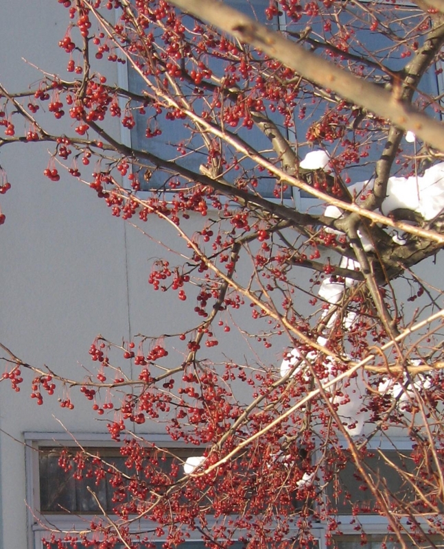 f:id:atarou:20130108072520j:image