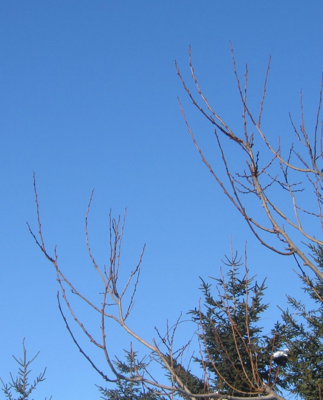 f:id:atarou:20130109071137j:image