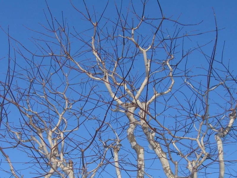 f:id:atarou:20130109071140j:image