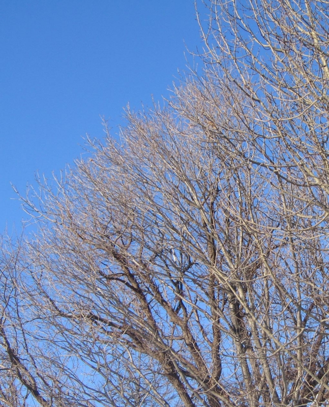 f:id:atarou:20130109071602j:image