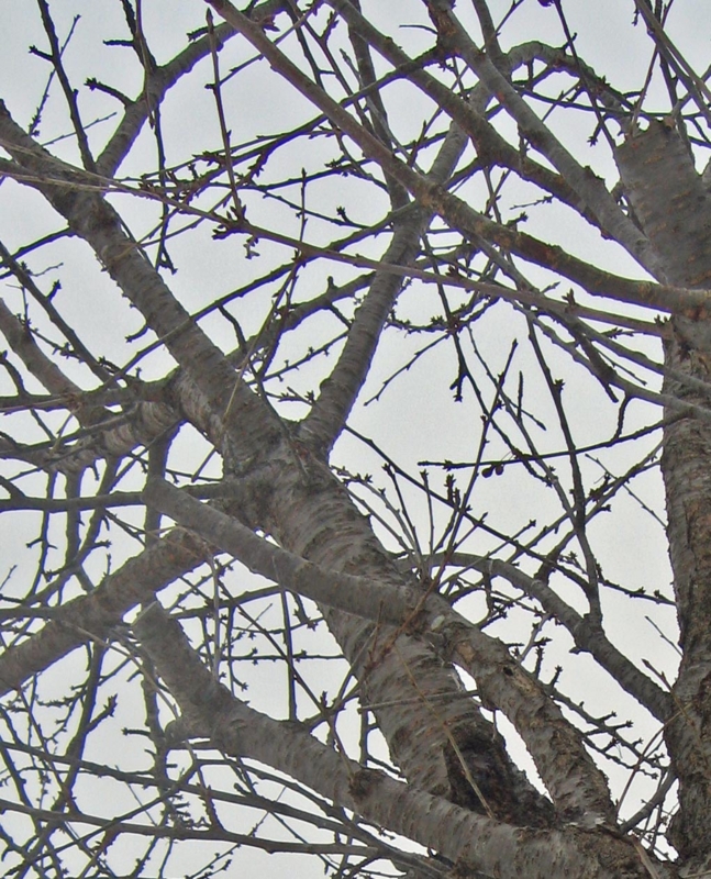 f:id:atarou:20130110061611j:image