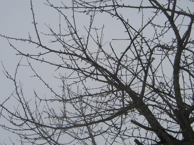 f:id:atarou:20130110064628j:image