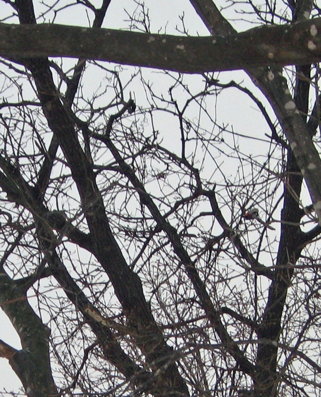 f:id:atarou:20130110065740j:image