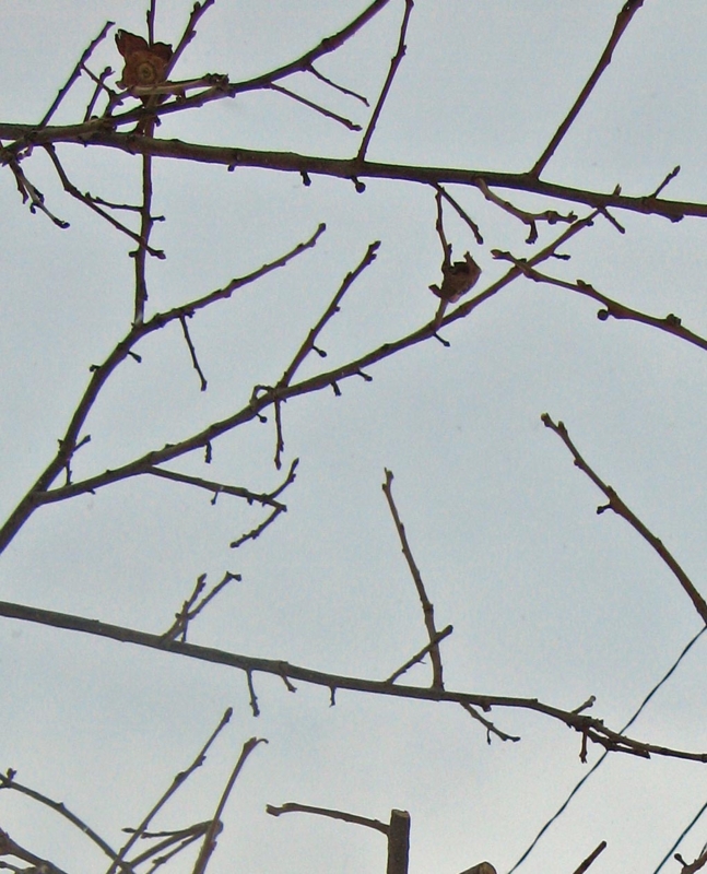 f:id:atarou:20130110071242j:image
