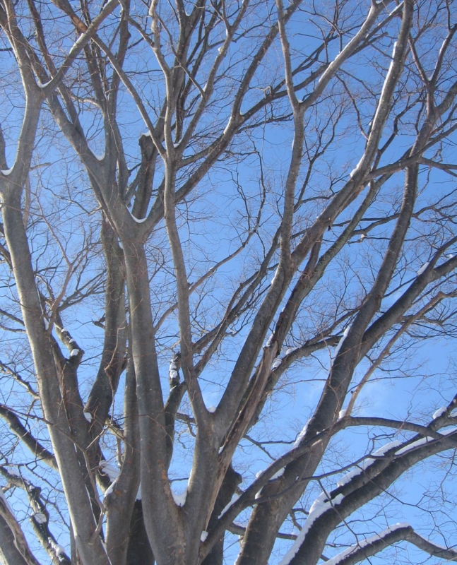 f:id:atarou:20130111081654j:image