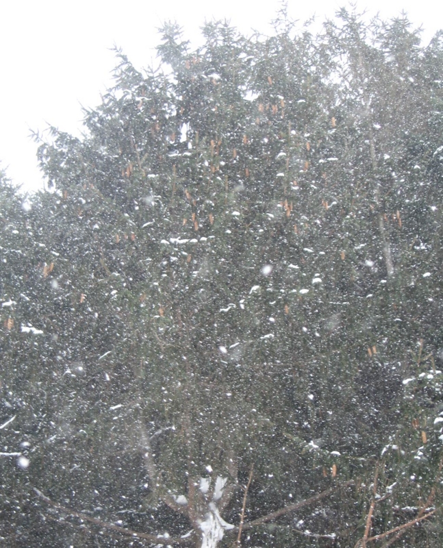 f:id:atarou:20130111083741j:image