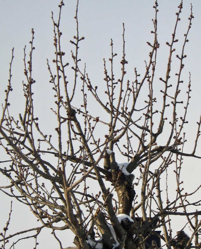 f:id:atarou:20130111090352j:image
