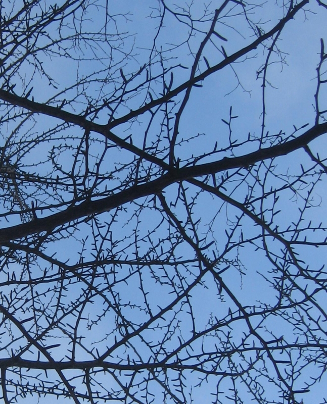 f:id:atarou:20130112072007j:image f:id:atarou:20130112072007j:image
