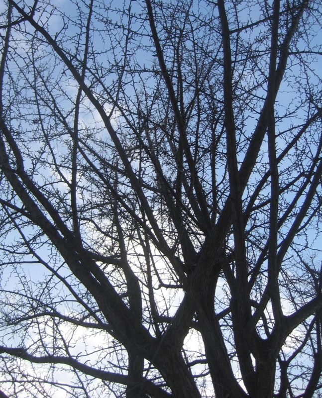 f:id:atarou:20130112072008j:image f:id:atarou:20130112072008j:image