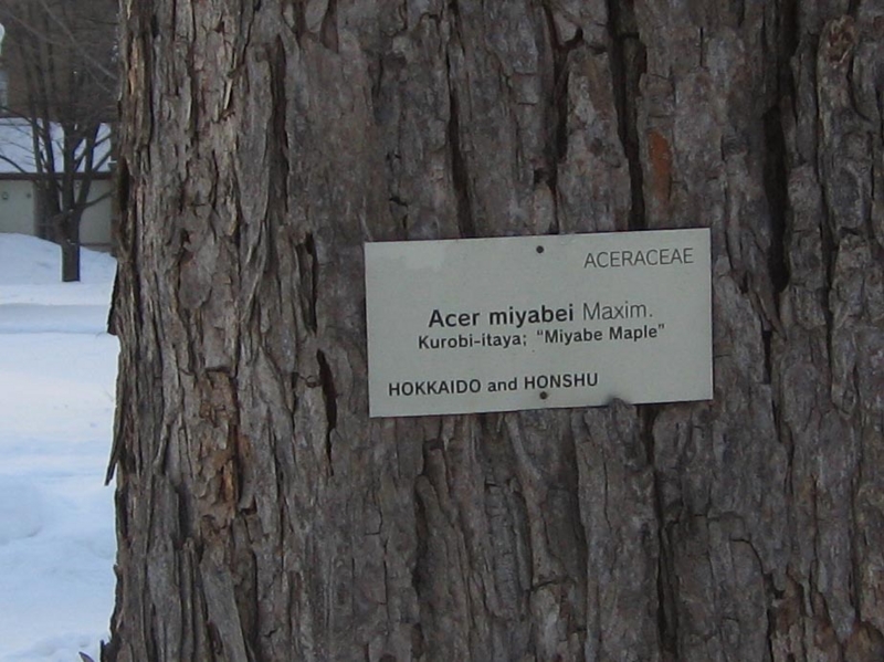 f:id:atarou:20130112073404j:image f:id:atarou:20130112073404j:image