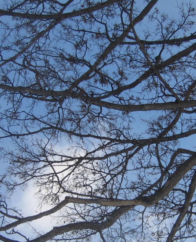f:id:atarou:20130112073405j:image f:id:atarou:20130112073405j:image