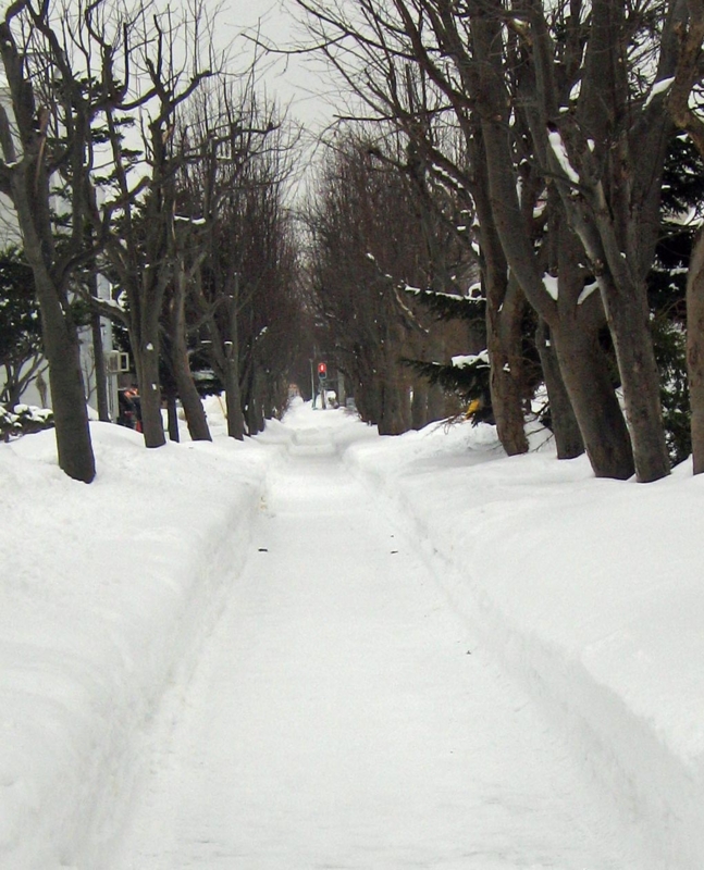 f:id:atarou:20130113071012j:image