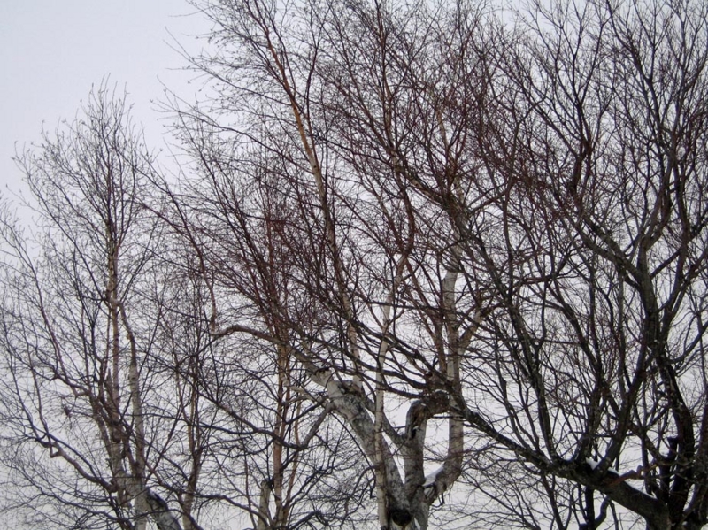 f:id:atarou:20130113091320j:image