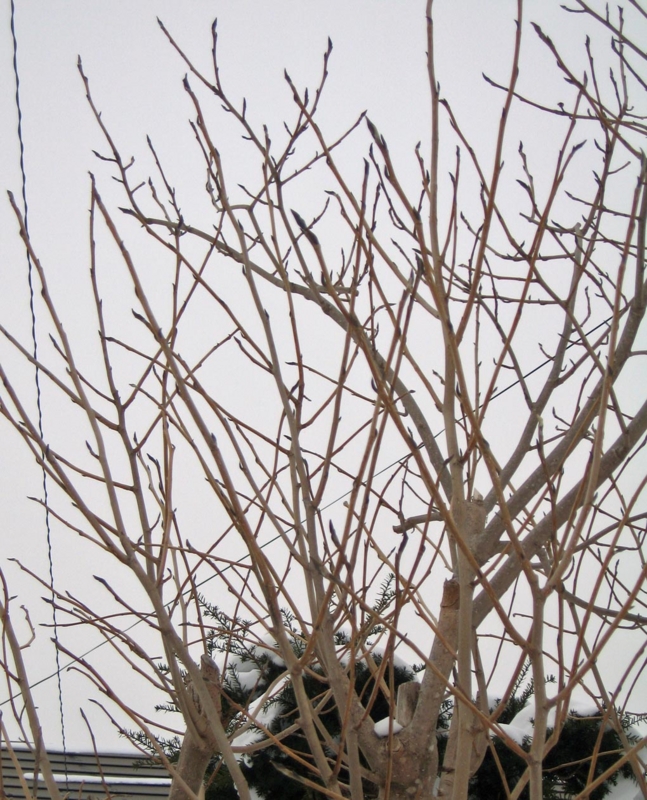 f:id:atarou:20130113091321j:image