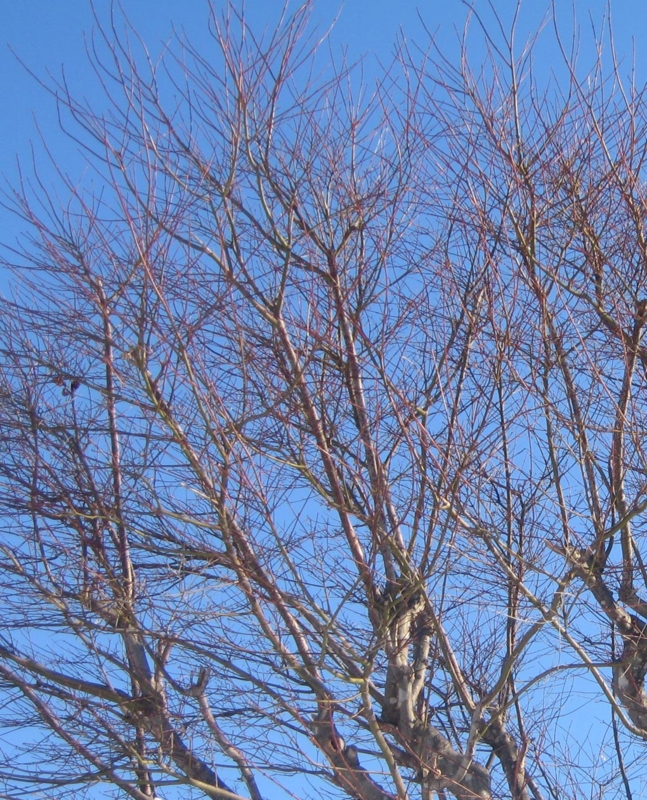f:id:atarou:20130114061052j:image