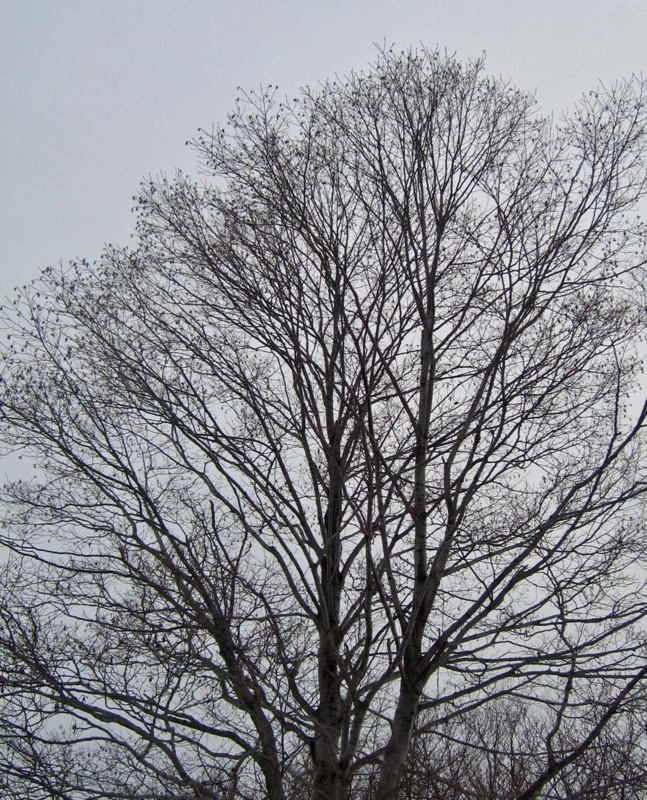 f:id:atarou:20130115051856j:image