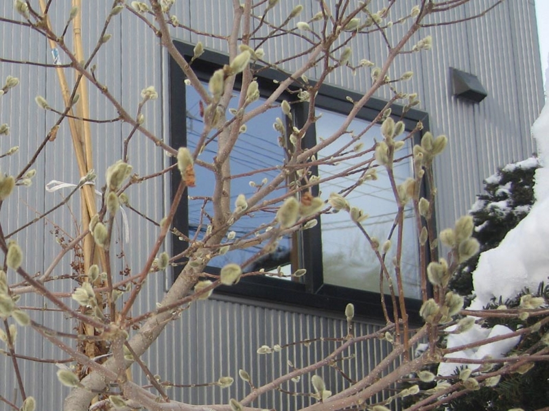 f:id:atarou:20130115054713j:image