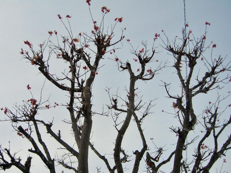 f:id:atarou:20130115054716j:image