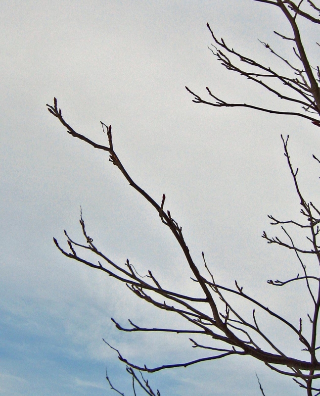 f:id:atarou:20130115061653j:image
