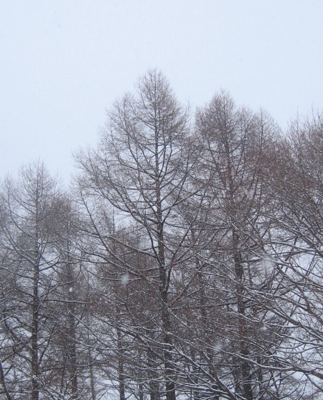 f:id:atarou:20130116085647j:image