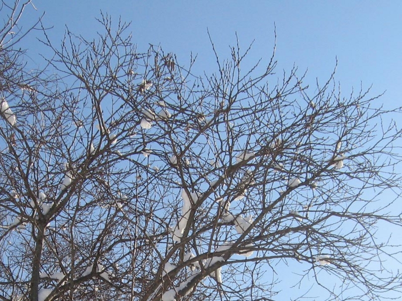 f:id:atarou:20130117072216j:image