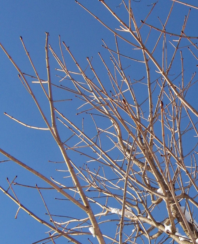 f:id:atarou:20130117072217j:image