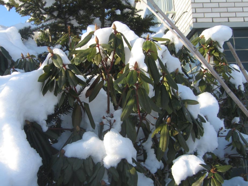 f:id:atarou:20130117085904j:image