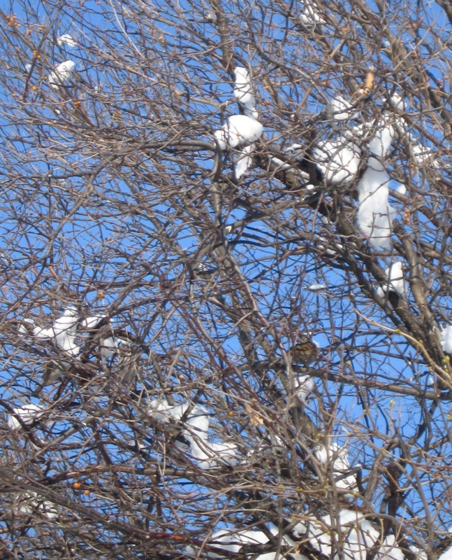 f:id:atarou:20130117085906j:image