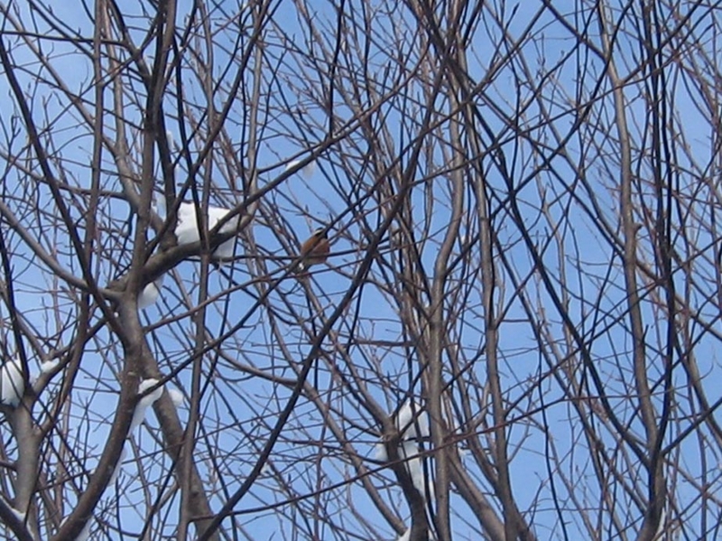 f:id:atarou:20130118070655j:image