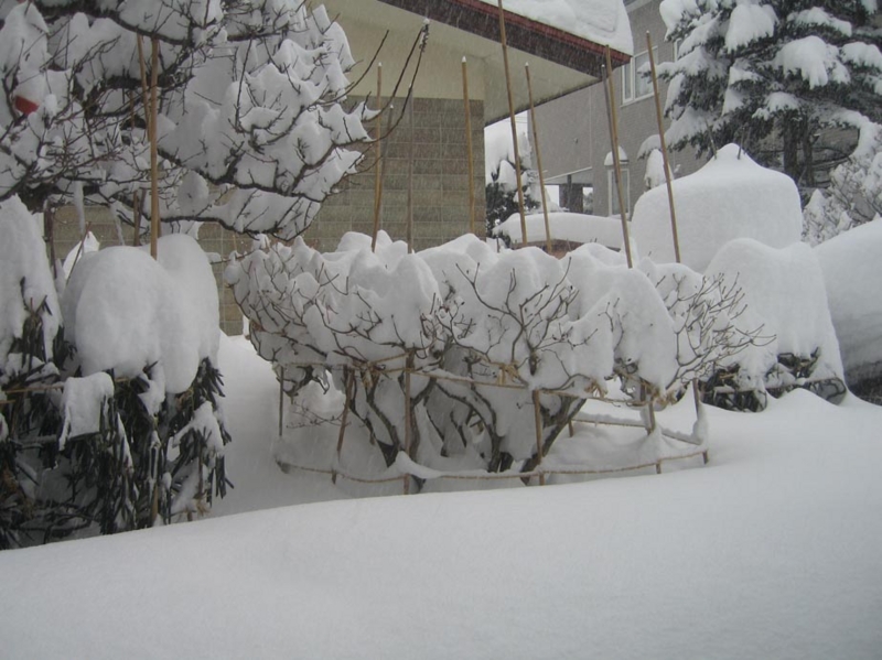f:id:atarou:20130118080109j:image