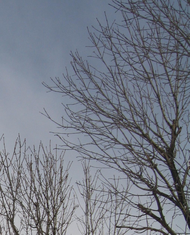 f:id:atarou:20130119070646j:image
