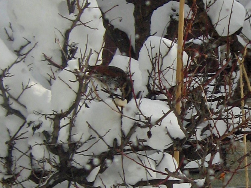 f:id:atarou:20130120071311j:image