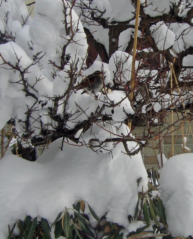 f:id:atarou:20130120071312j:image
