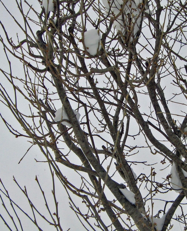 f:id:atarou:20130120072634j:image