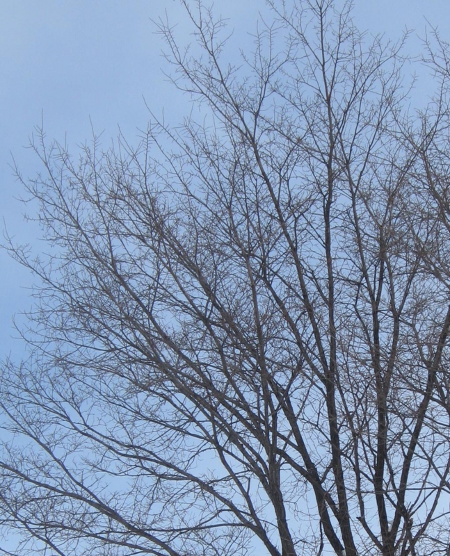f:id:atarou:20130121063650j:image